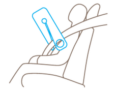 cut seat belts